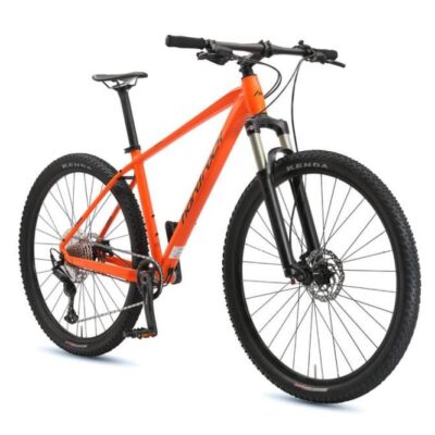Hard Rocx  | Cambrium 29R