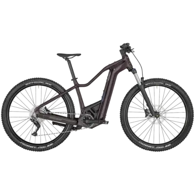 Bergamont E-Revox Sport FMN