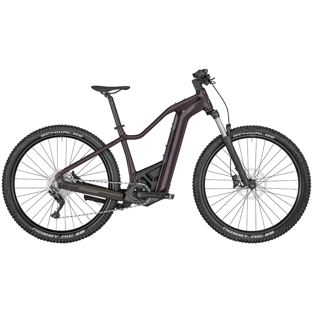 Bergamont E-Revox Sport FMN